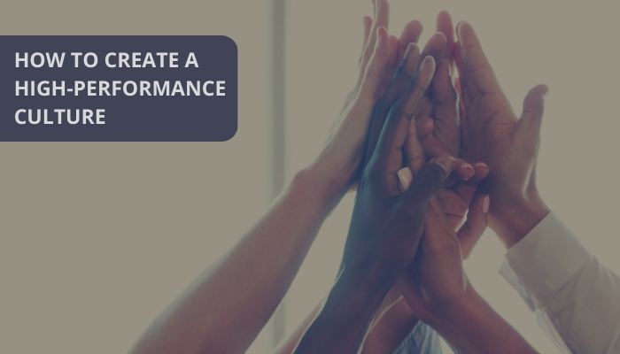 How to create a high-performance culture