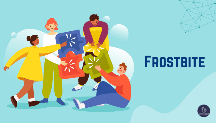 Frostbite for Group Problem Solving Activities