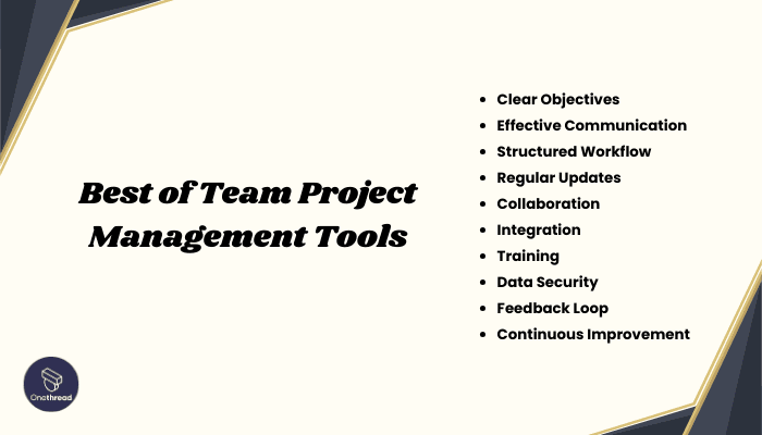 Getting the Most Out of Team Project Management Tools