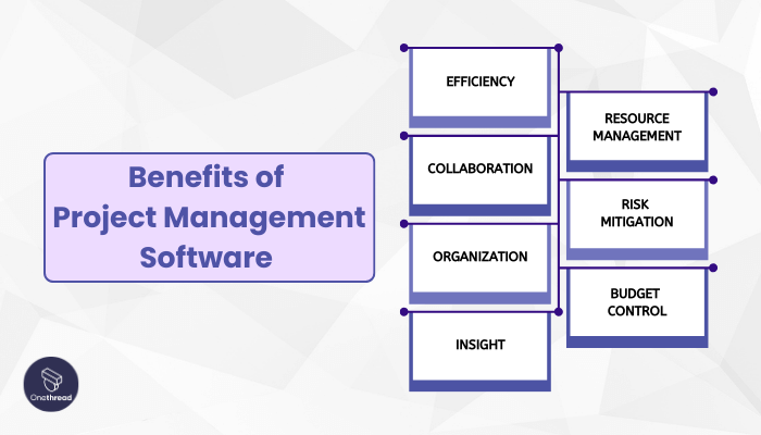 Why Project Management Software Is Important to Your Business