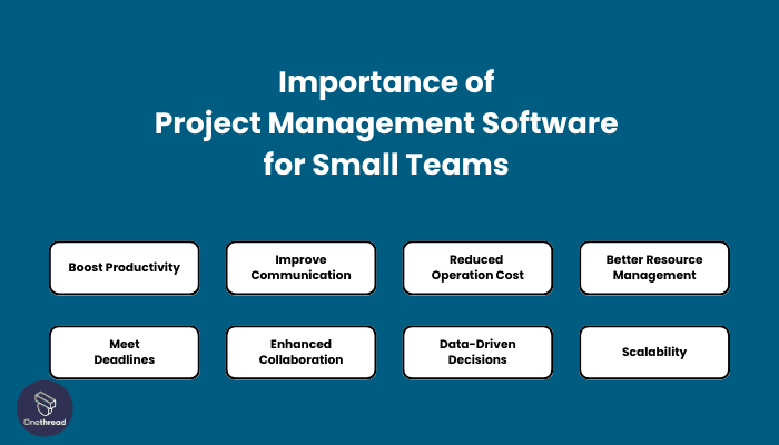 How Project Management Software for Small Teams Can Help Your Business