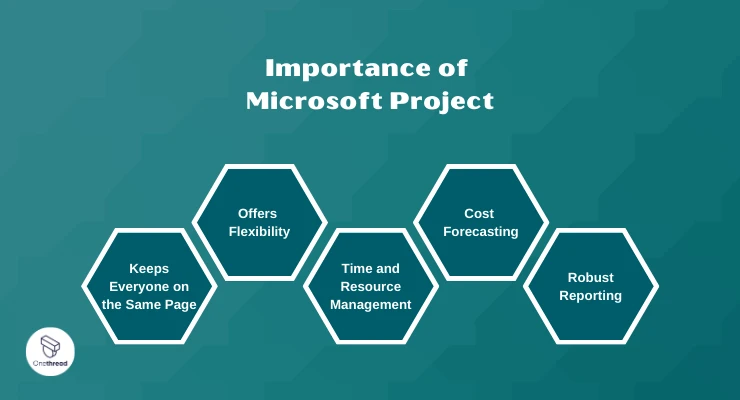 Why Microsoft Project is Crucial for Modern Businesses.
