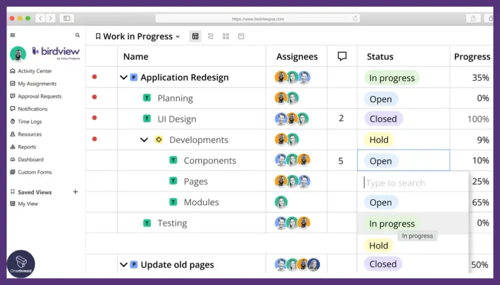 BirdView PSA-Project Management