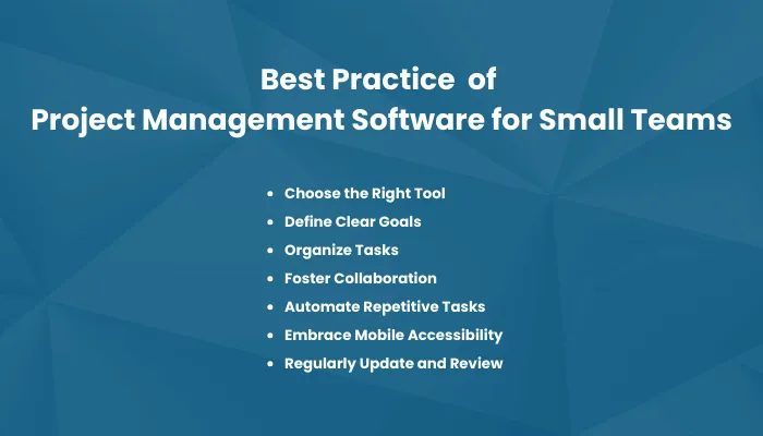 Getting the Most Out of Project Management Software for Small Teams
